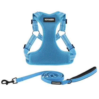 Step-In Flex Harness & Leash Combo Set