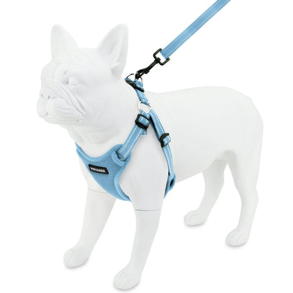 Step-In Flex Harness & Leash Combo Set - VOYAGER Dog Harnesses