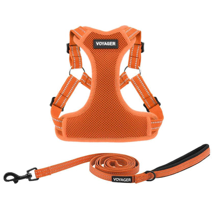 Step-In Flex Harness & Leash Combo Set