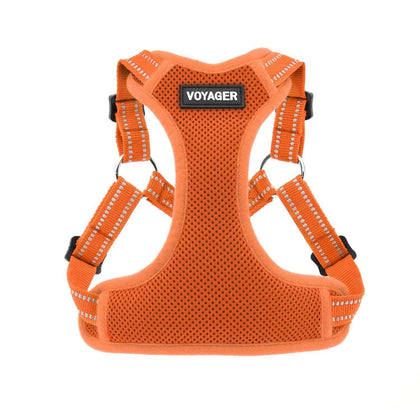 Step-In Flex Harness & Leash Combo Set