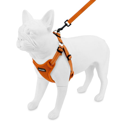 Step-In Flex Harness & Leash Combo Set - VOYAGER Dog Harnesses