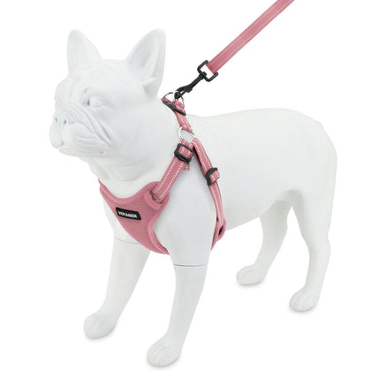 Step-In Flex Harness & Leash Combo Set - VOYAGER Dog Harnesses