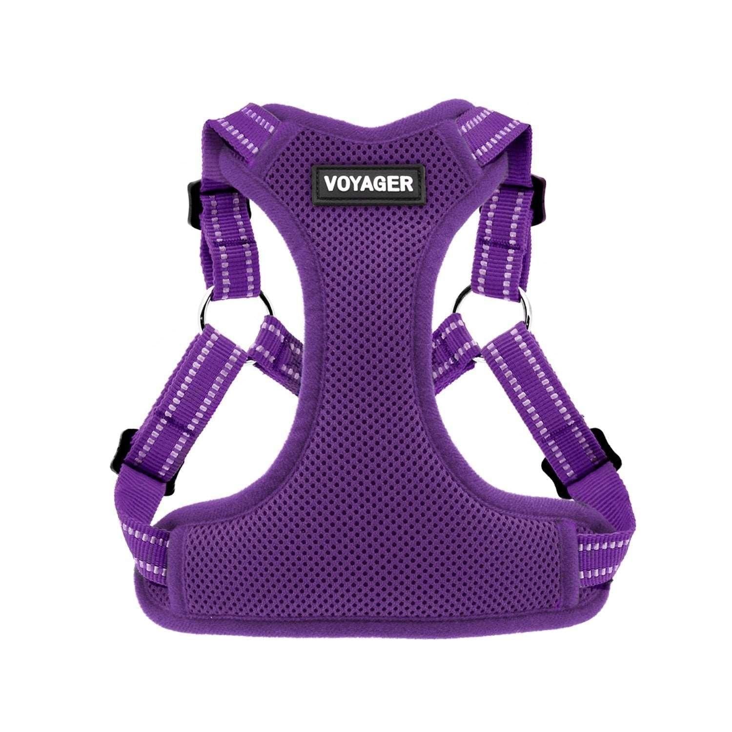 Step-In Flex Harness & Leash Combo Set