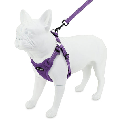 Step-In Flex Harness & Leash Combo Set - VOYAGER Dog Harnesses