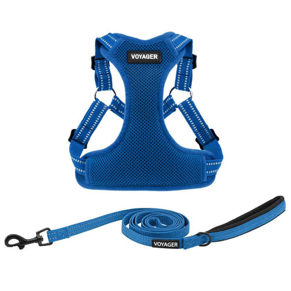 Step-In Flex Harness & Leash Combo Set