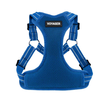 Step-In Flex Harness & Leash Combo Set