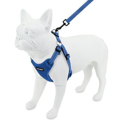 Step-In Flex Harness & Leash Combo Set - VOYAGER Dog Harnesses