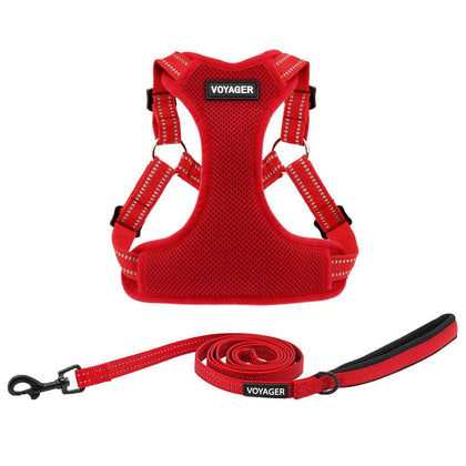 Step-In Flex Harness & Leash Combo Set