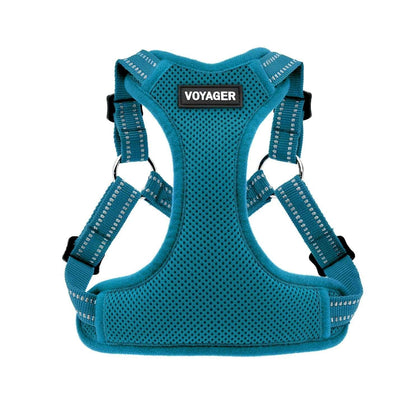 Step-In Flex Harness & Leash Combo Set