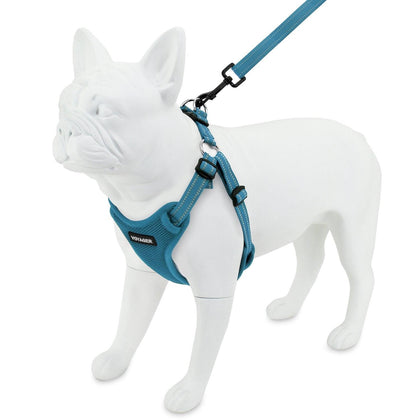 Step-In Flex Harness & Leash Combo Set - VOYAGER Dog Harnesses