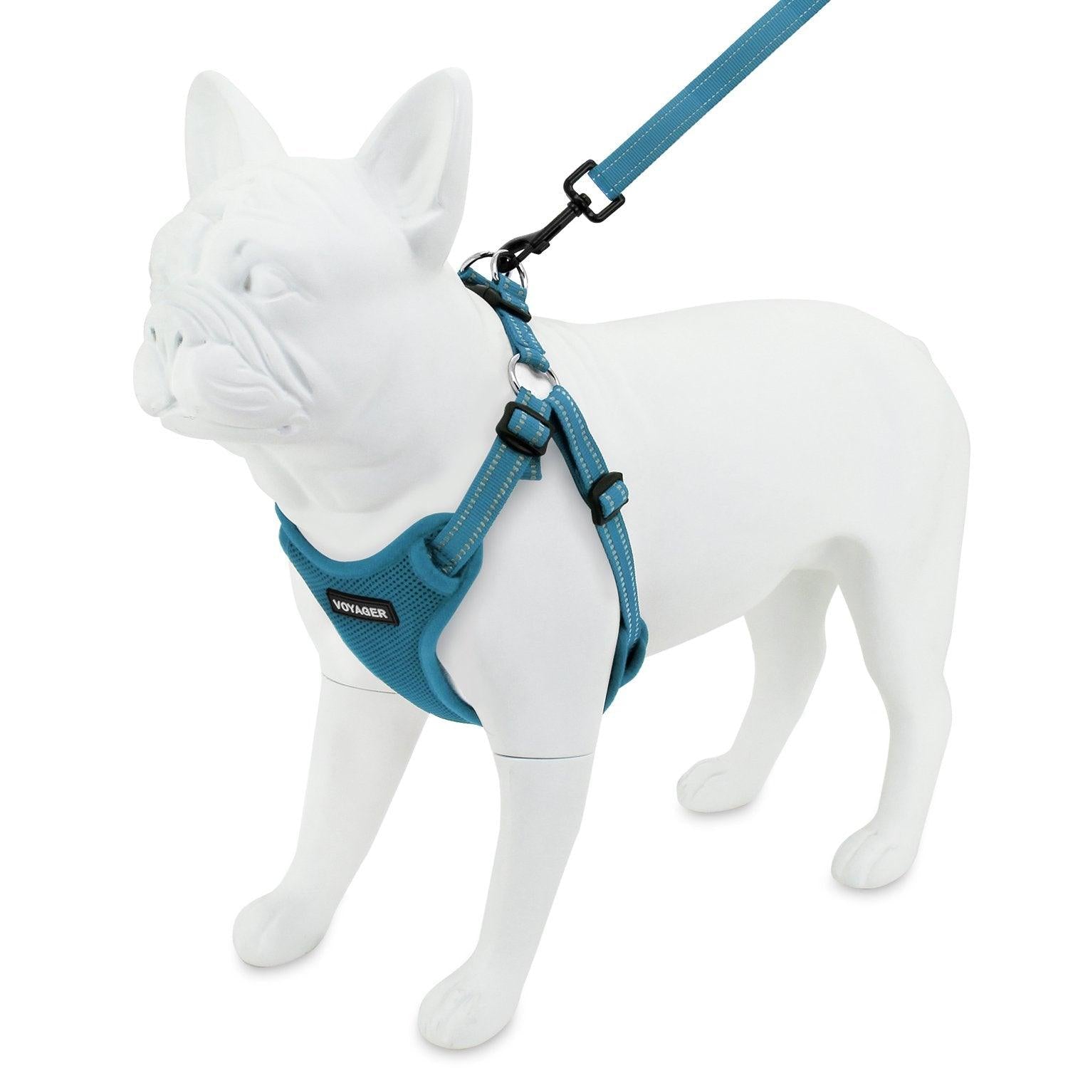 Voyager Step-In Flex Adjustable Harness & Leash Combo Set for Dogs -  VOYAGER Dog Harnesses