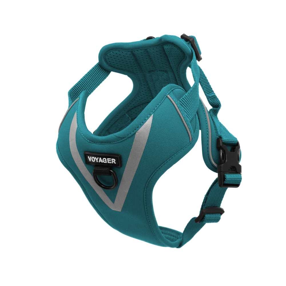 VOYAGER Maverick Dog Harness in Turquoise - Expanded