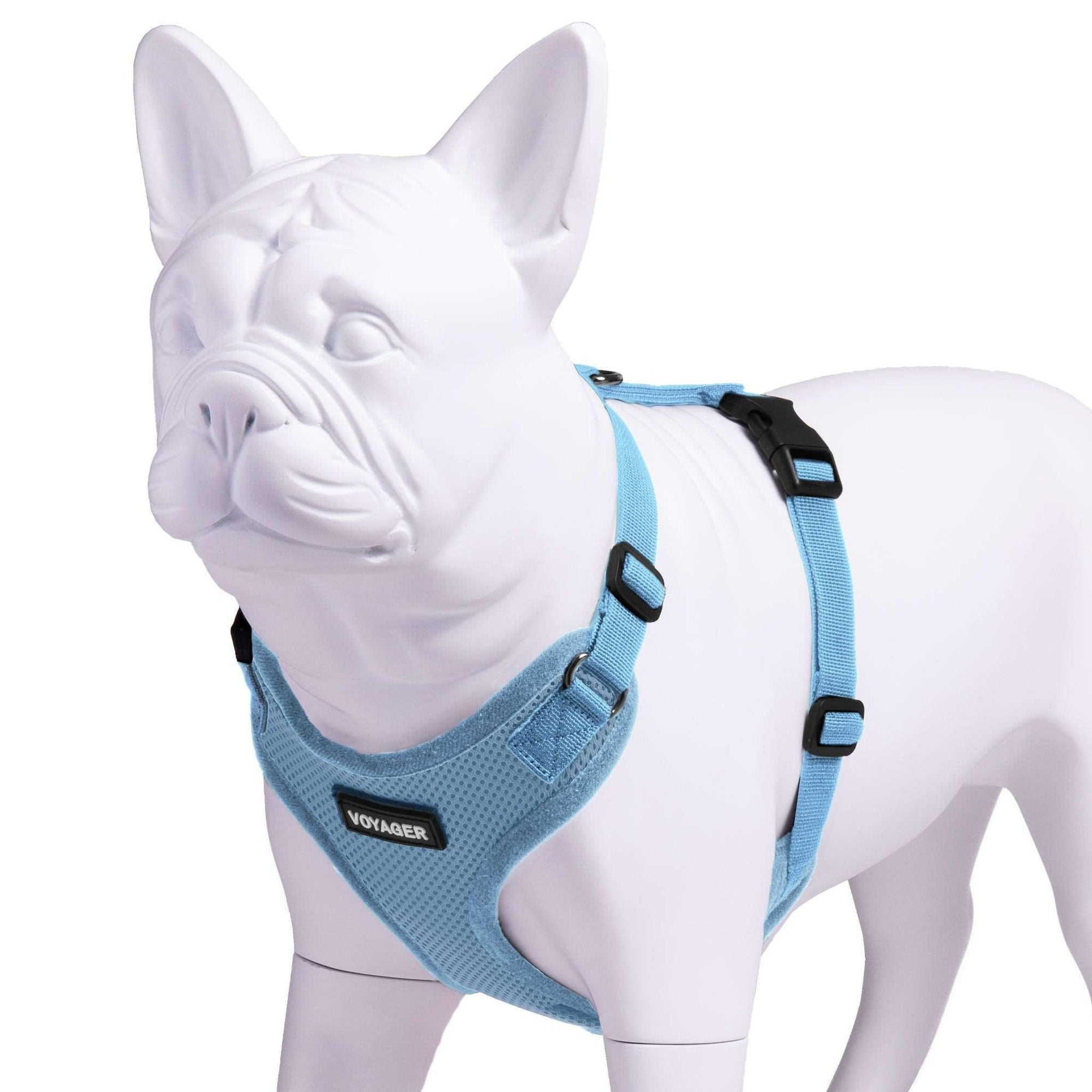 VOYAGER Step-In Lock Dog Harness in Baby Blue with Matching Trim and Webbing - Expanded