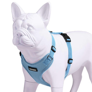 VOYAGER Step-In Lock Dog Harness in Baby Blue with Matching Trim and Webbing - Expanded