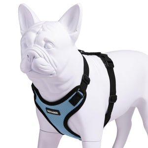 VOYAGER Step-In Lock Dog Harness in Baby Blue with Black Trim and Webbing - Expanded