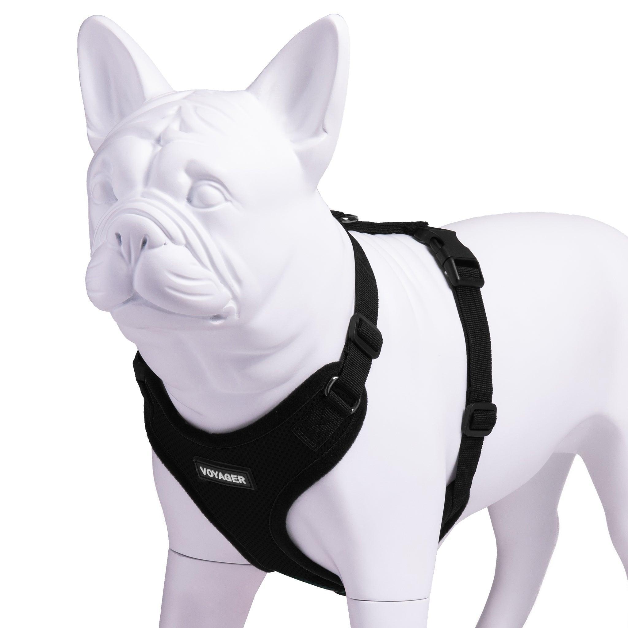 VOYAGER Step-In Lock Dog Harness in Black with Matching Trim and Webbing - Expanded