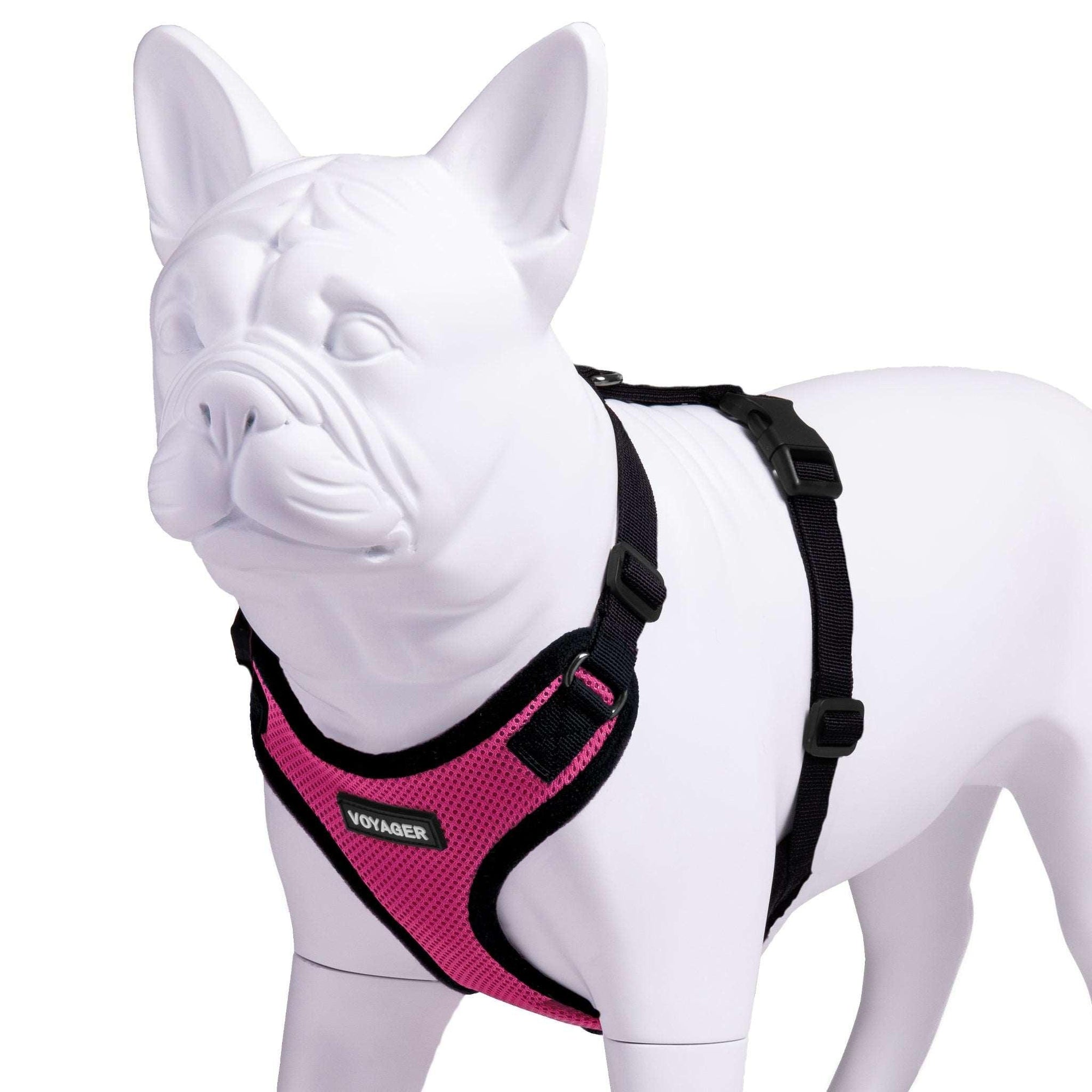 VOYAGER Step-In Lock Dog Harness in Fuchsia with Black Trim and Webbing - Expanded
