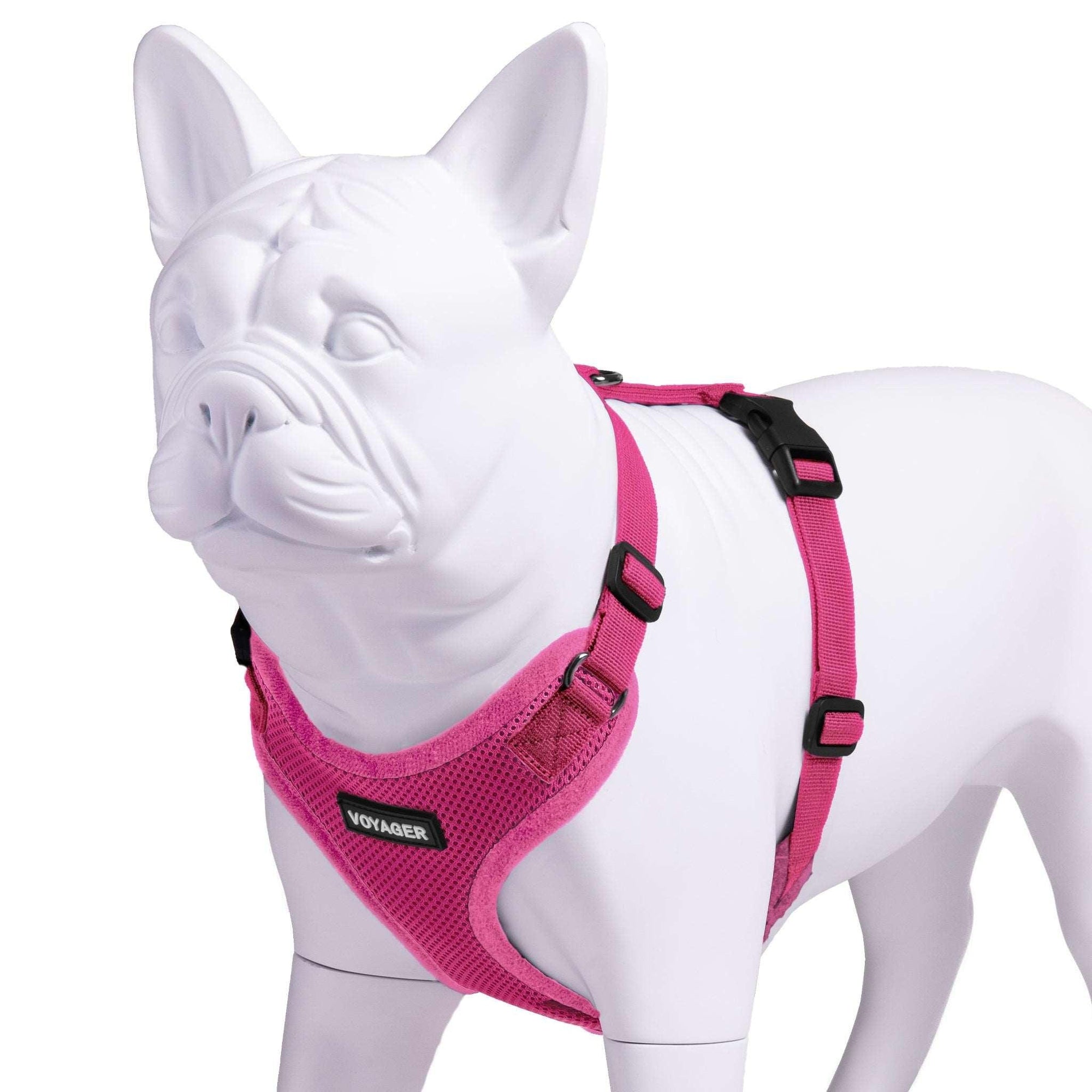 VOYAGER Step-In Lock Dog Harness in Fuchsia with Matching Trim and Webbing - Expanded