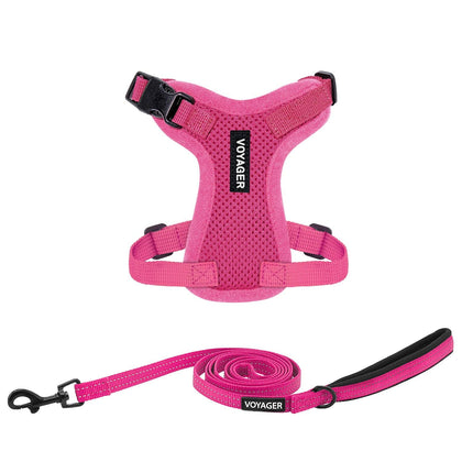 Step-In Lock Harness & Leash Set - VOYAGER Dog Harnesses