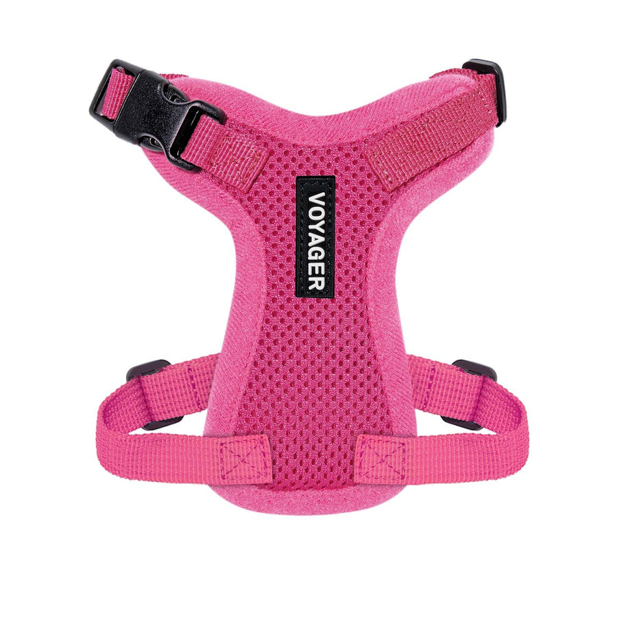 View of Adjustable Step-In Lock Cat Harness: Perfect Fit & Comfort with Air Mesh