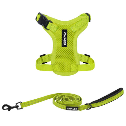 Step-In Lock Harness & Leash Set For Cats - VOYAGER Dog Harnesses