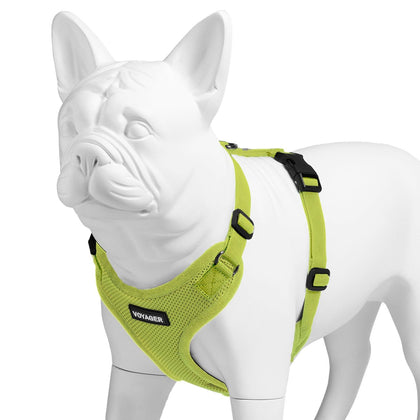 Step-In Lock Pet Harness - VOYAGER Dog Harnesses