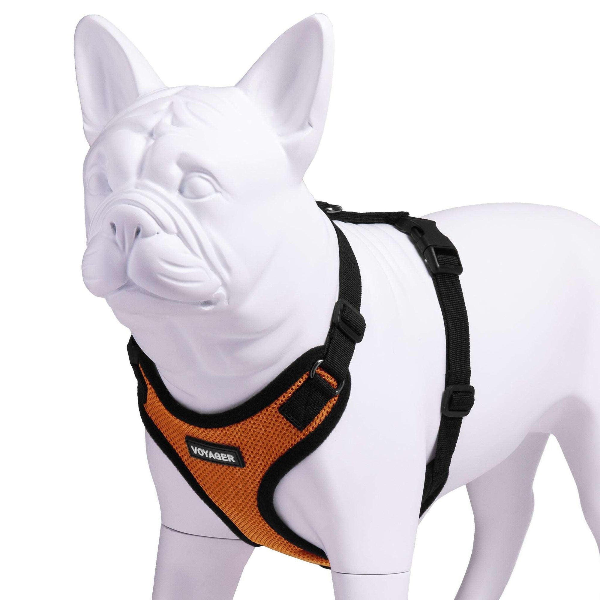 VOYAGER Step-In Lock Dog Harness in Orange with Black Trim and Webbing - Expanded