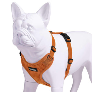 VOYAGER Step-In Lock Dog Harness in Orange with Matching Trim and Webbing - Expanded