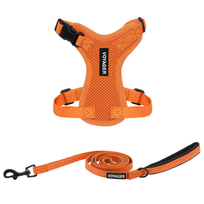 Step-In Lock Harness & Leash Set - VOYAGER Dog Harnesses