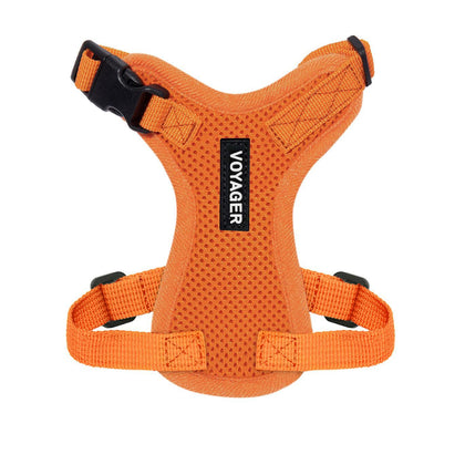 Step-In Lock Harness & Leash Set - VOYAGER Dog Harnesses