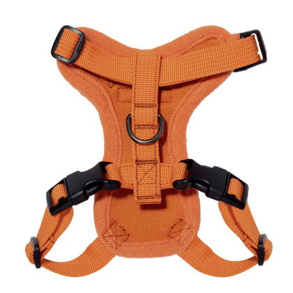 Step-In Lock Harness For Cats - VOYAGER Dog Harnesses
