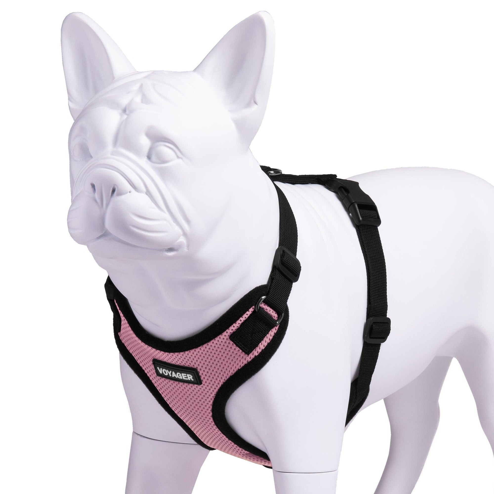 VOYAGER Step-In Lock Dog Harness in Pink with Black Trim and Webbing - Expanded