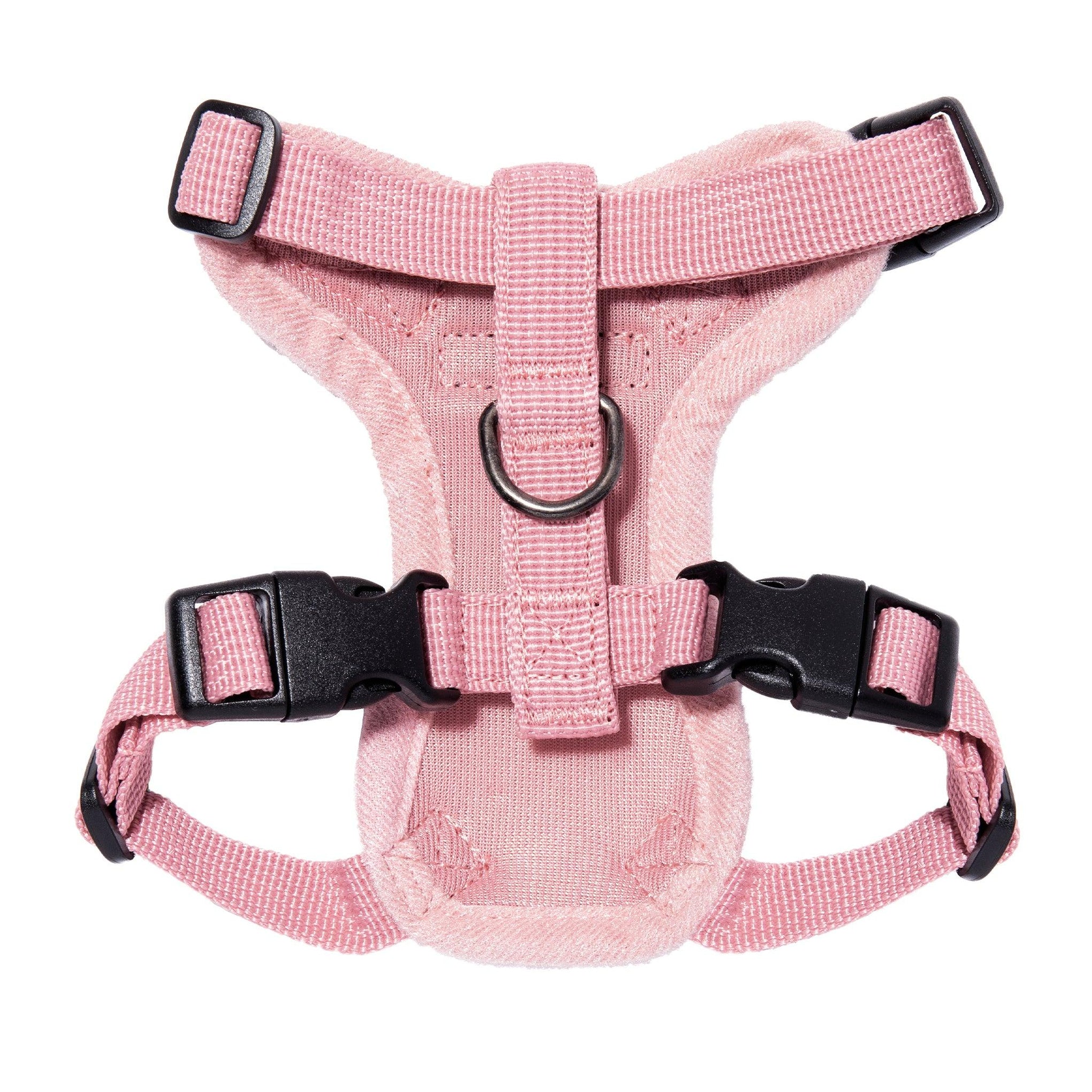 Image showcasing Adjustable Step-In Lock Cat Harness: Perfect Fit & Comfort with Air Mesh