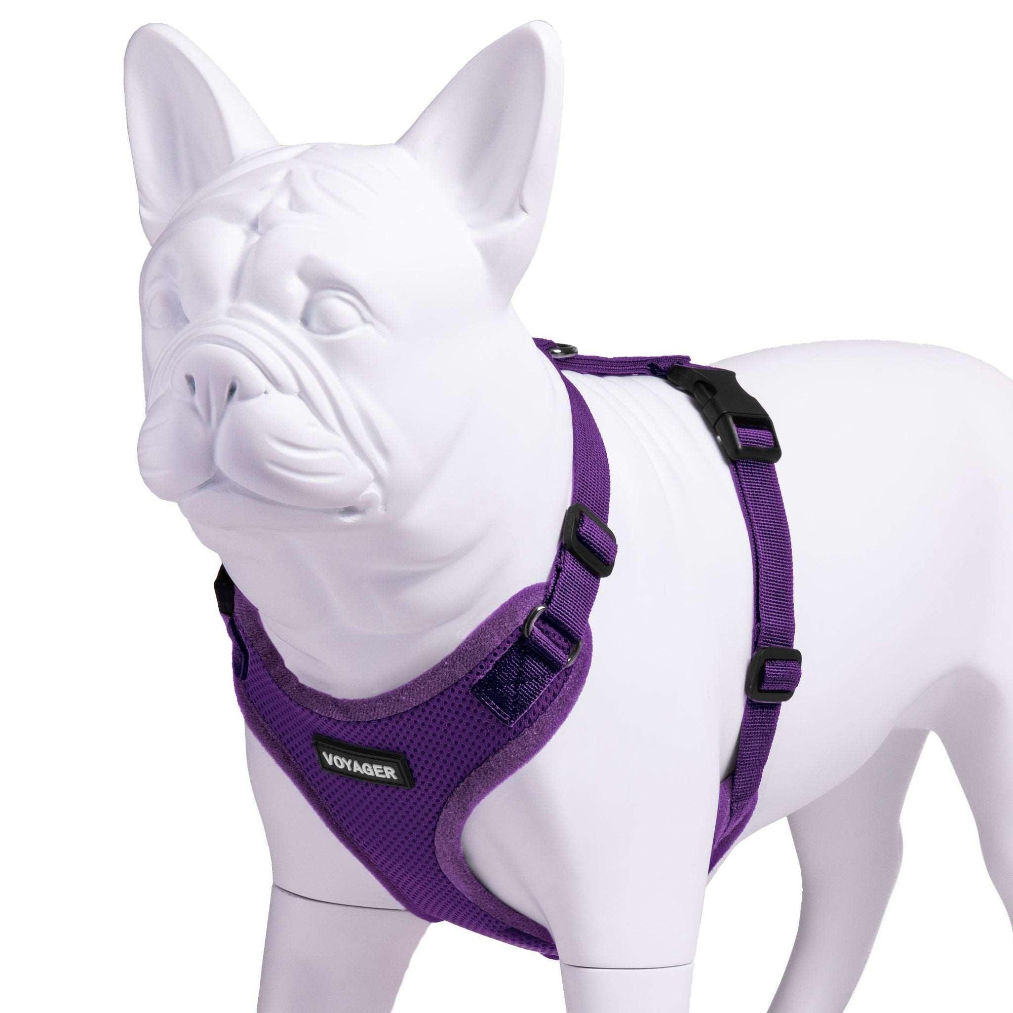 VOYAGER Step-In Lock Dog Harness in Purple with Matching Trim and Webbing - Expanded