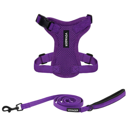 Step-In Lock Harness & Leash Set - VOYAGER Dog Harnesses
