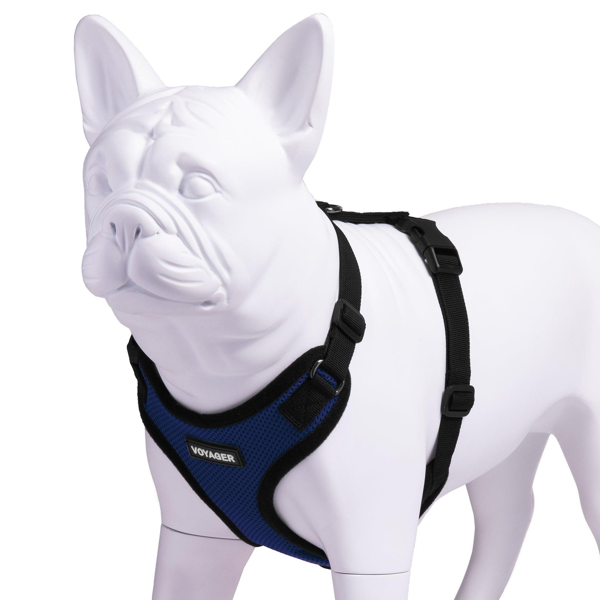 VOYAGER Step-In Lock Dog Harness in Royal Blue with Black Trim and Webbing - Expanded