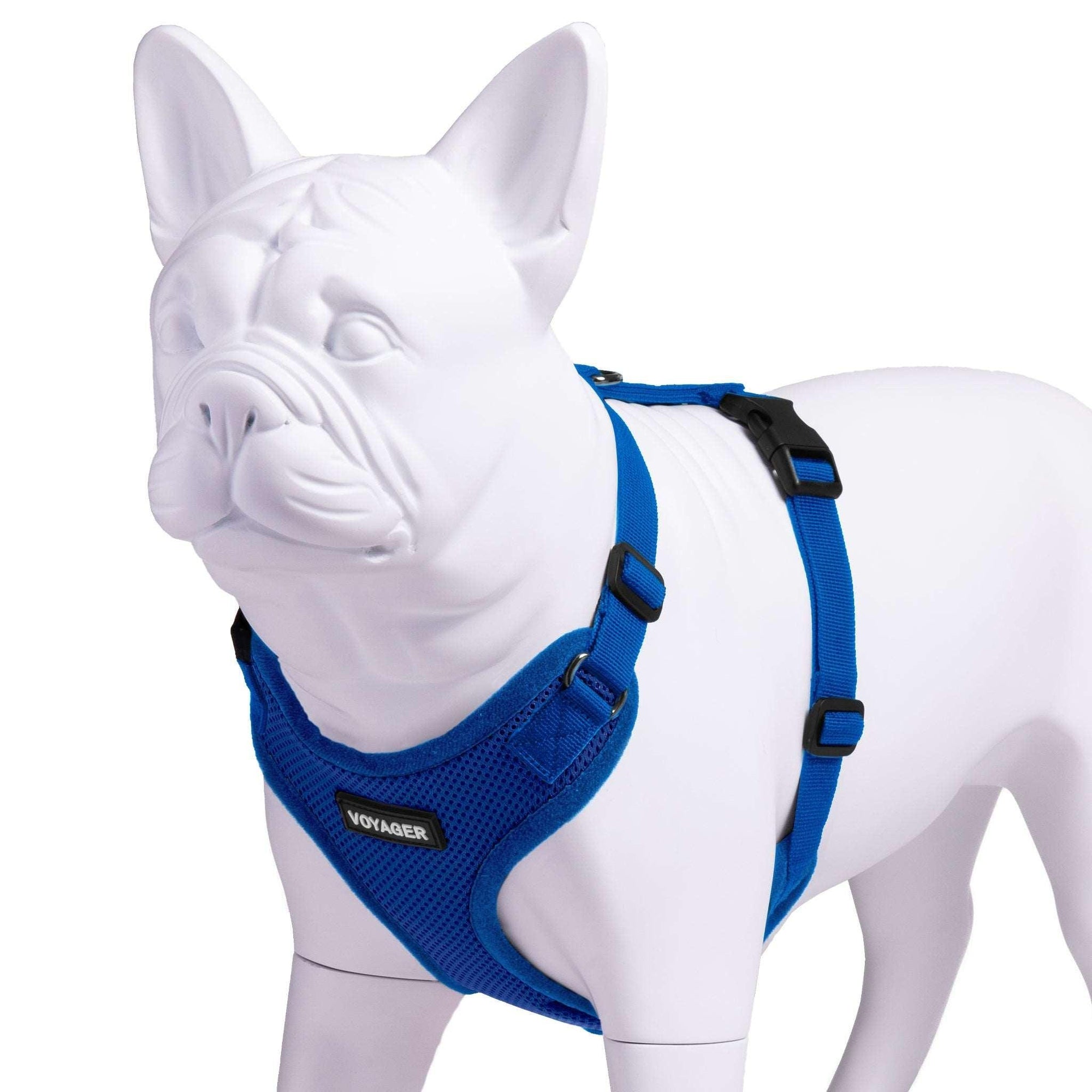 VOYAGER Step-In Lock Dog Harness in Royal Blue with Matching Trim and Webbing - Expanded