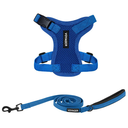 Step-In Lock Harness & Leash Set - VOYAGER Dog Harnesses
