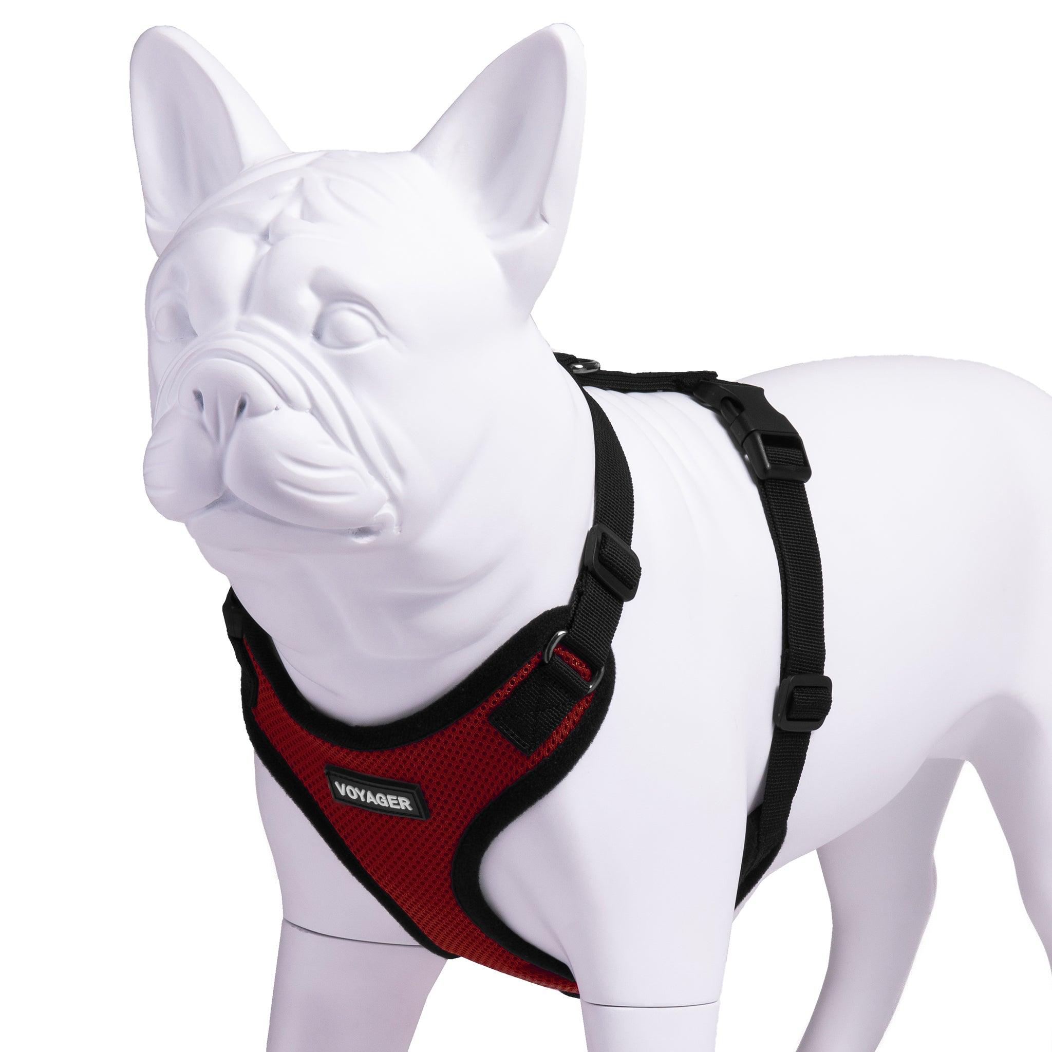 VOYAGER Step-In Lock Dog Harness in Red with Black Trim and Webbing - Expanded