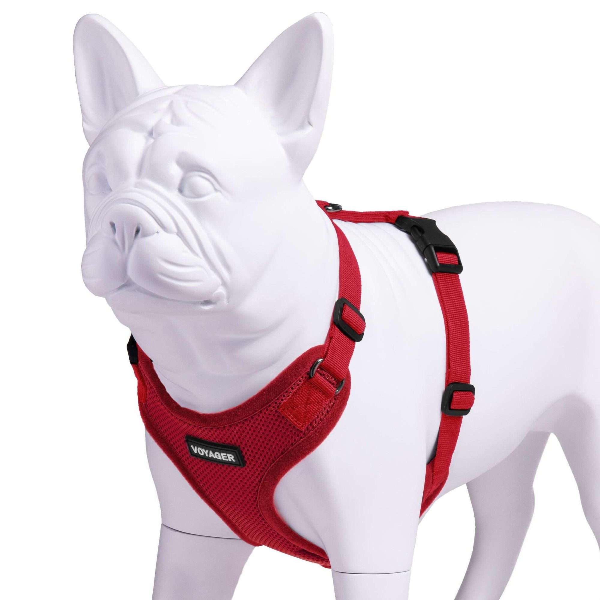 VOYAGER Step-In Lock Dog Harness in Red with Matching Trim and Webbing - Expanded