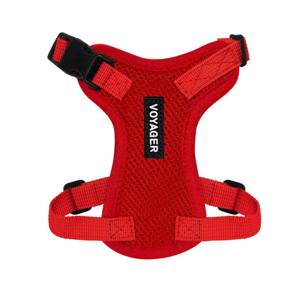 View of Adjustable Step-In Lock Cat Harness: Perfect Fit & Comfort with Air Mesh