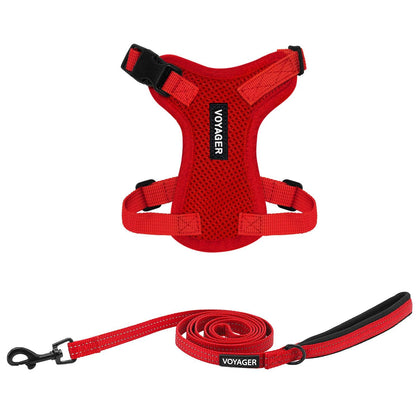 Step-In Lock Harness & Leash Set - VOYAGER Dog Harnesses