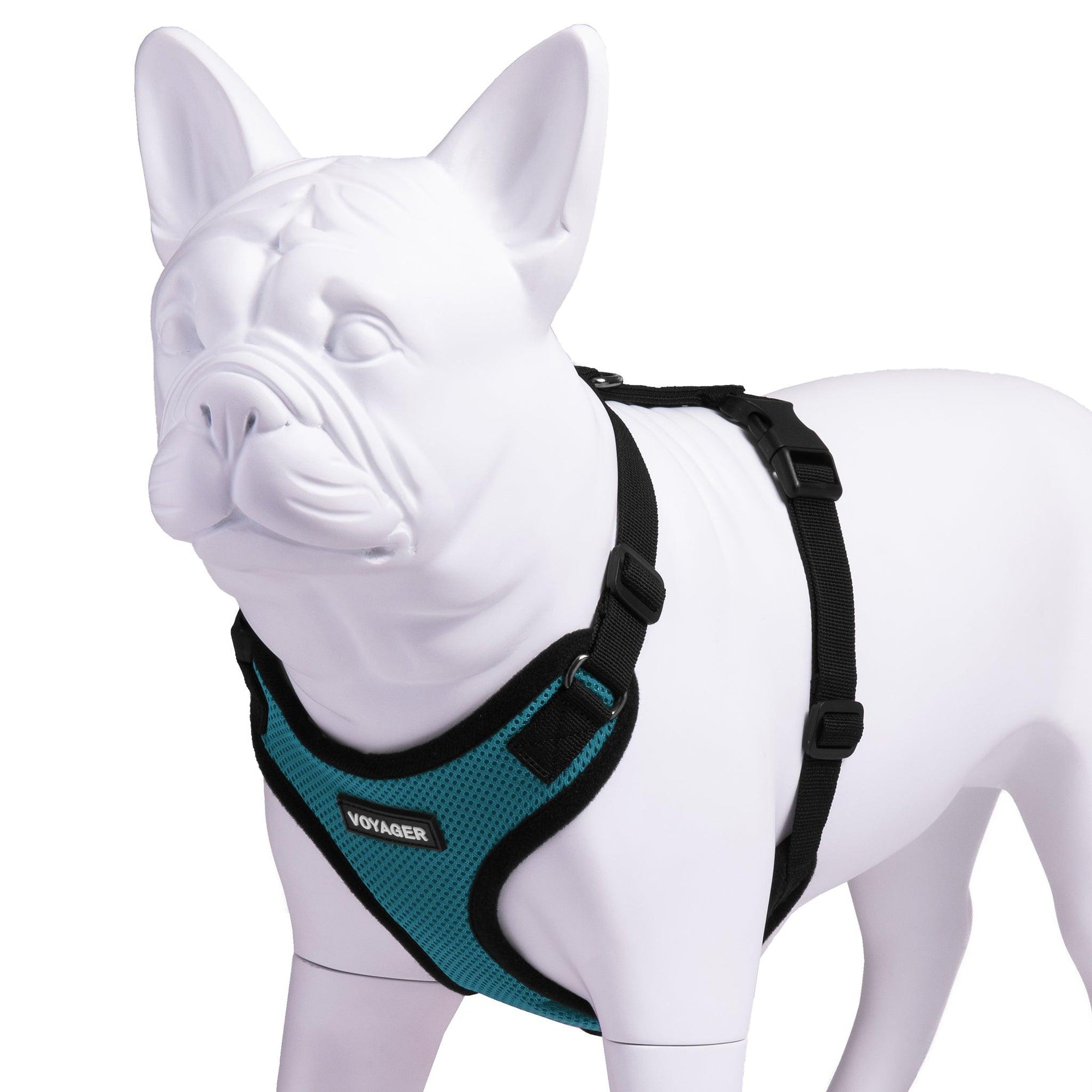 VOYAGER Step-In Lock Dog Harness in Turquoise with Black Trim and Webbing - Expanded