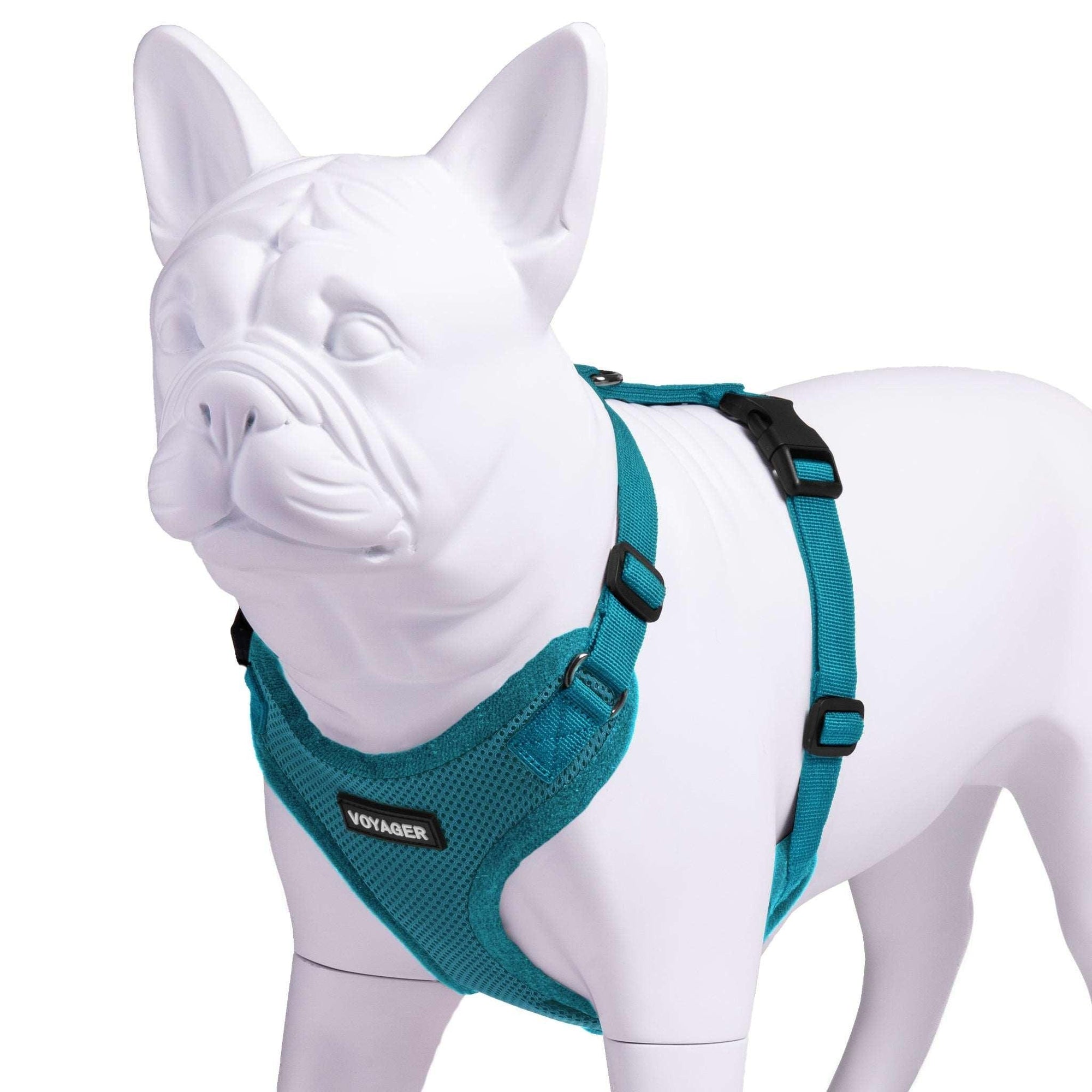 VOYAGER Step-In Lock Dog Harness in Turquoise with Matching Trim and Webbing - Expanded