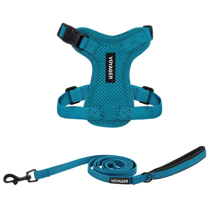 Step-In Lock Harness & Leash Set - VOYAGER Dog Harnesses