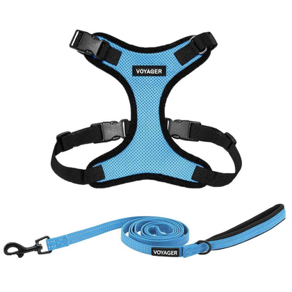 Step-In Lock Harness & Leash Combo Set