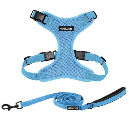 Step-In Lock Harness & Leash Combo Set - Matching Trim