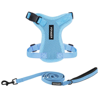 Step-In Lock Harness & Leash Set For Cats - VOYAGER Dog Harnesses