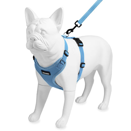 Step-In Lock Harness & Leash Combo Set - Matching Trim - VOYAGER Dog Harnesses