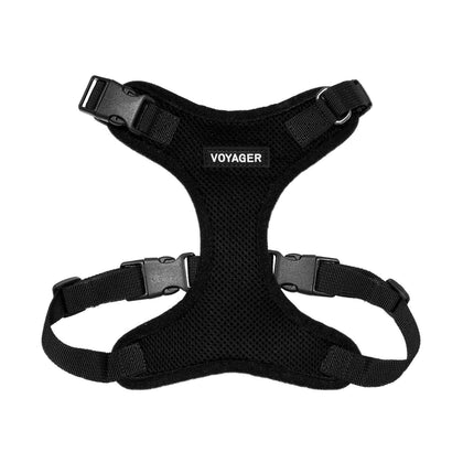 Step-In Lock Harness & Leash Combo Set